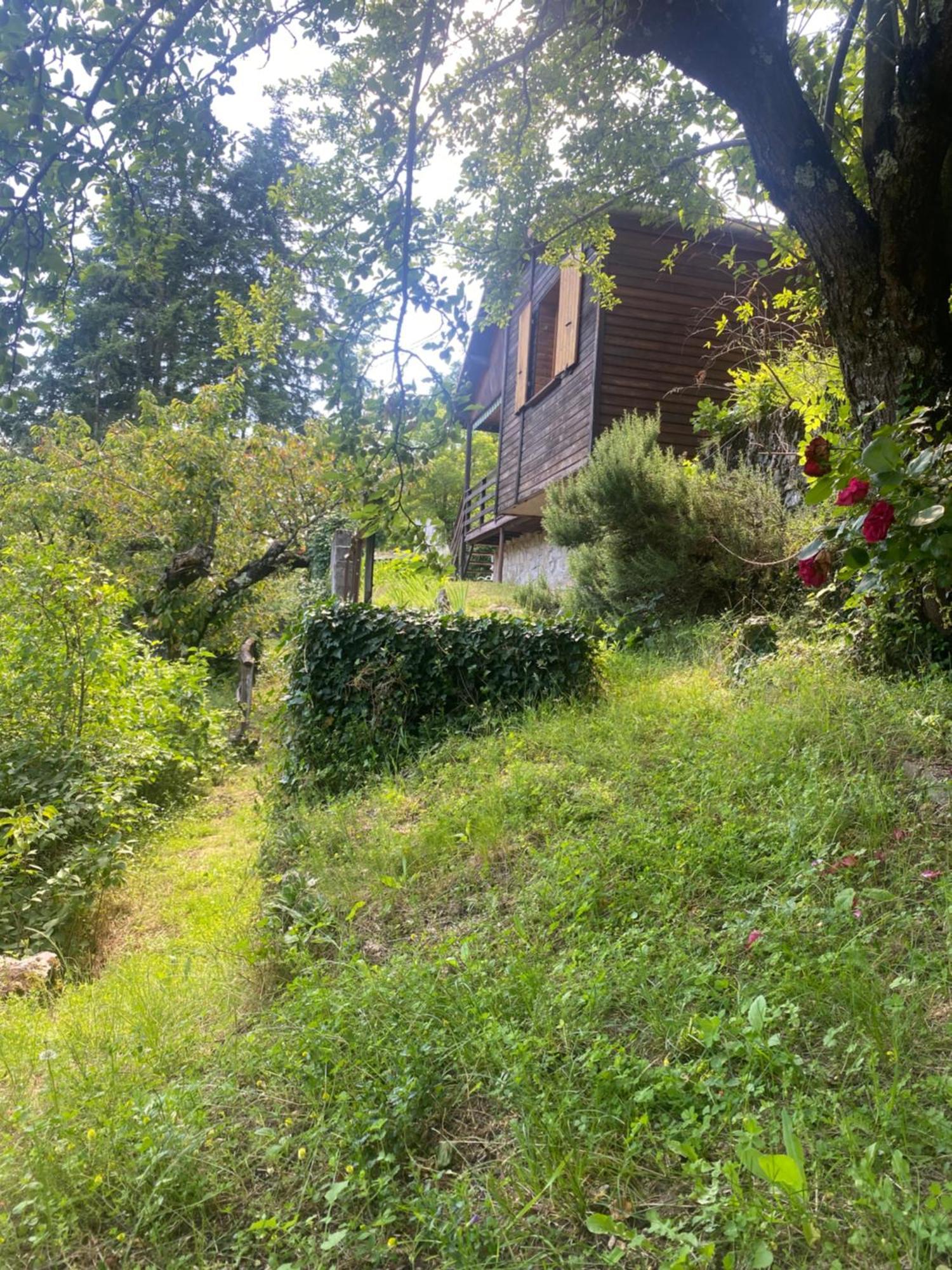 Chalet Les Accacias Vocance Exterior foto